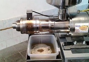 گرفتن روغن کنجد از دستگاه‌های روغن‌گیری فسادپذیری بالایی دارد