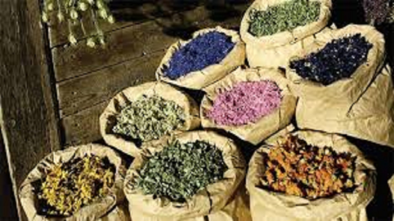 برداشت۲ هزار و ۹۳۶ تن گیاهان دارویی در استان سمنان