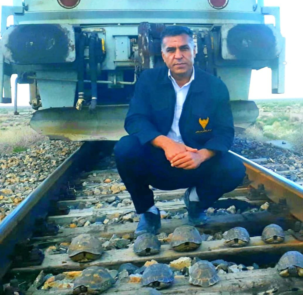 آزادی ۱۷ لاک پشت از اسارت ریل