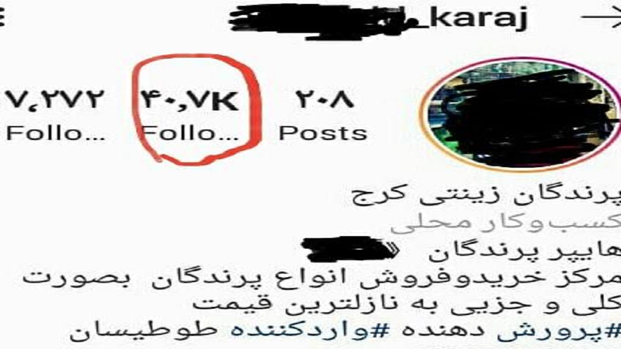 دستگیری متخلف خرید و فروش حیوانات وحشی در البرز