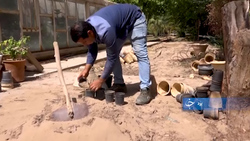 سوزن دوزی هنری پر طرفدار در استان سیستان و بلوچستان + فیلم