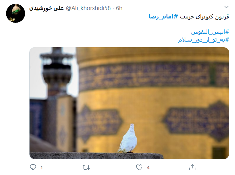 دلتنگی کاربران فضای مجازی برای حرم امام رضا (ع) در روز&zwnj;های کرونایی