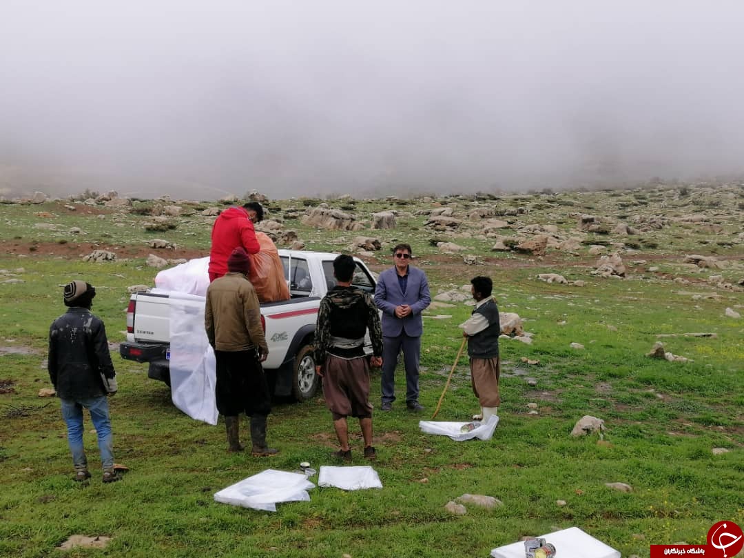 امدادرسانی به عشایر فارس در بارندگی اخیر/پاسخ مدیریت بحران درباره آبگرفتگی در صدرا و حادثه برای خودرو