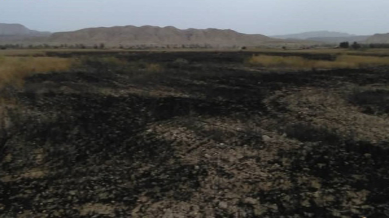 مهار آتش‌سوزی در مزارع گندم بخش ارد گراش