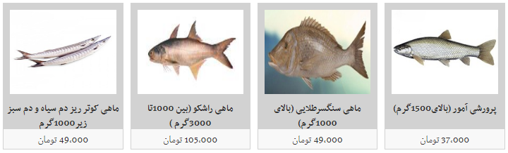 قیمت انواع ماهی در غرفه اای تره بار؛