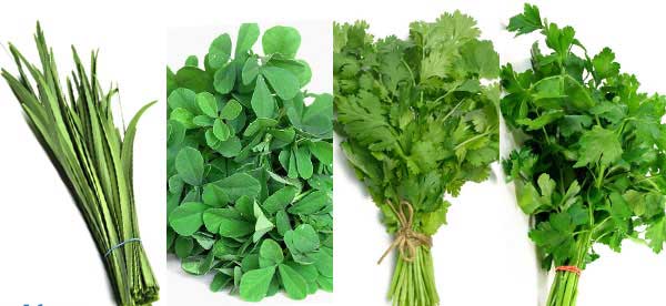 ترکیبات سبزی قورمه ترکیبات سبزی قورمه
