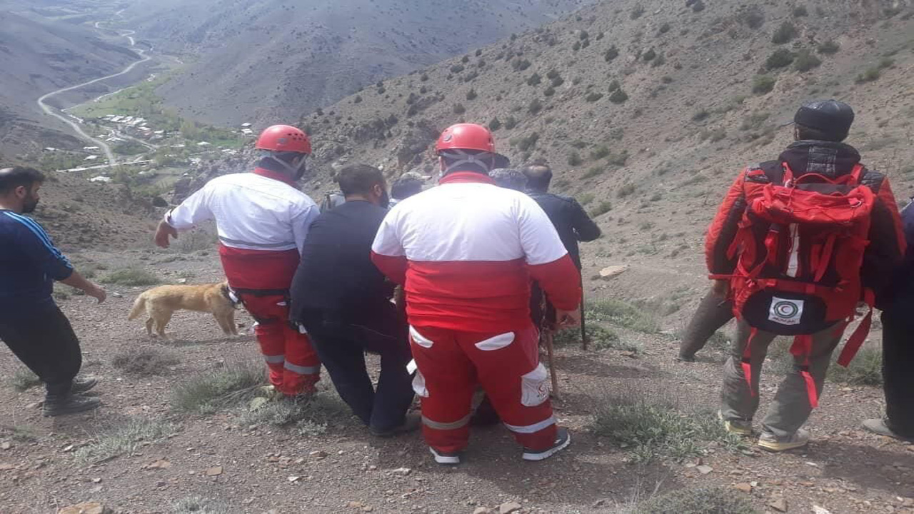 قارچی که مرگ به ارمغان آورد