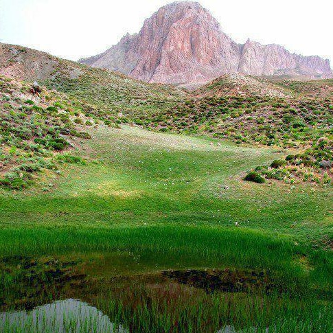گردشی مجازی در  دیار طلای سرخ
