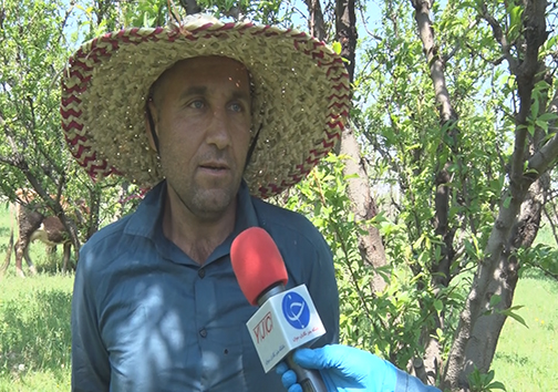 پرآب شدن سد مهاباد نوید بخش جهش تولید در حوزه کشاورزی