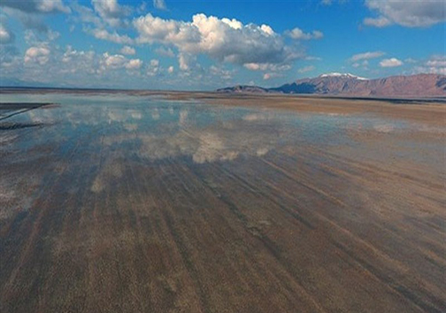 زندگی در تالاب&zwnj;های زیبای استان فارس
