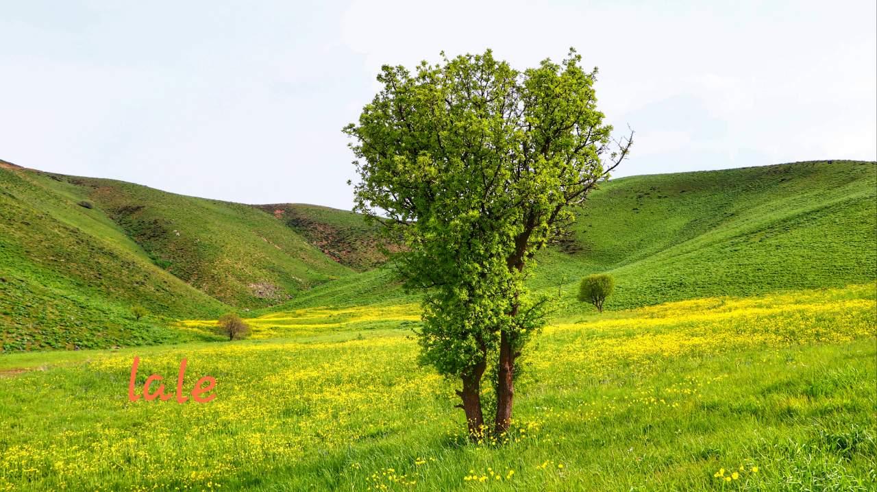 تصاویری از طبیعت چشم‌نواز در روستای ترجان