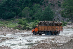 کشف ۶ تن چوب قاچاق در شهرستان ایجرود