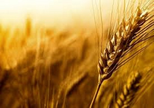 سرخط مهم&zwnj;ترین خبر&zwnj;های شنبه سیزدهم اردیبهشت ۹۹ آبادان