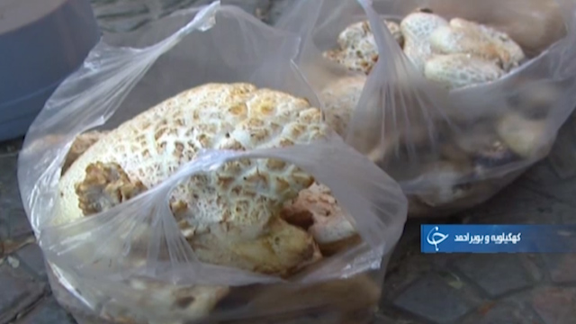 کاهش ذخایر خونی بیمارستان&zwnj;ها در ایام کرونایی تا معلمی که عشق به تدریس را دوباره معنا کرد + فیلم