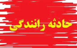 دو نفر کشته و مجروح  در واژگونی کامیونت حامل احشام