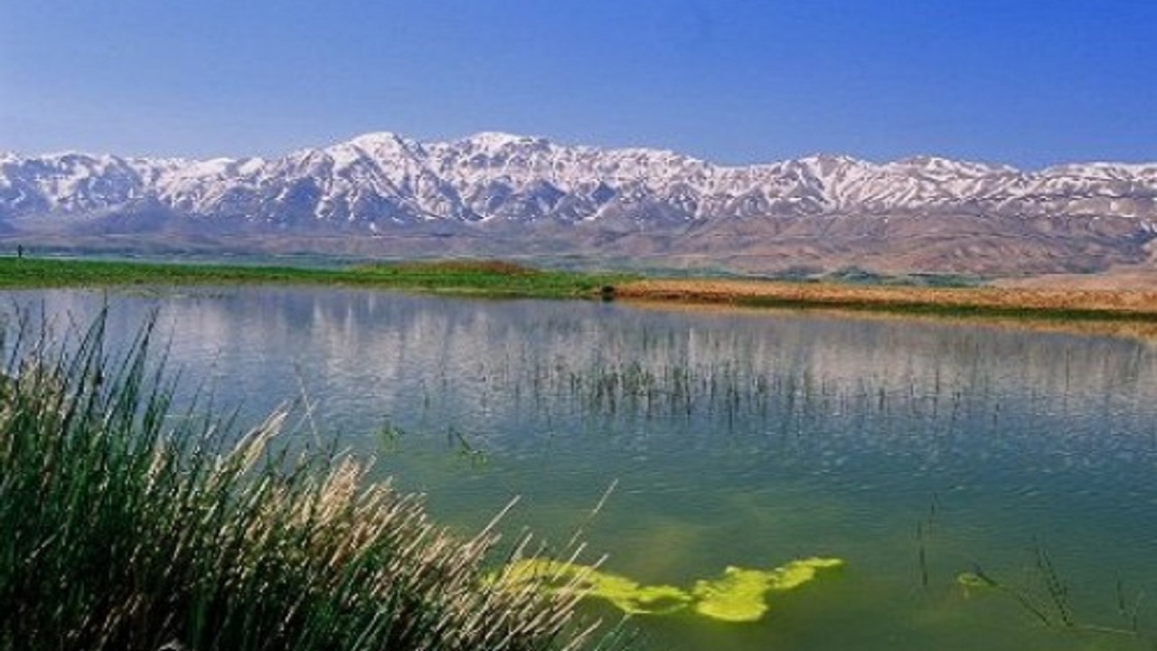 ذخیره پنج میلیون مترمکعب آب در تالاب چغاخور