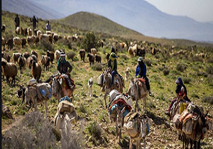 آغاز کوچ عشایر به مناطق ییلاقی اندیکا