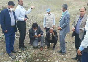 سمپاشی بیش از ۷ هزار هکتار از مراتع در راستای کانون کوبی آفت در اردبیل