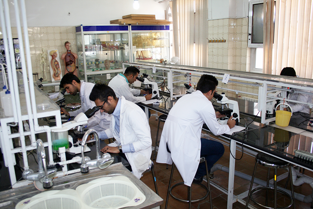 تسهیلات بنیاد ملی نخبگان