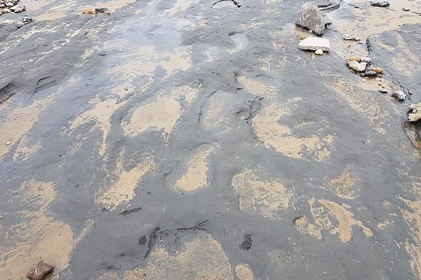 کشف ردپای ۹۵۰ هزار ساله انسان (+عکس)