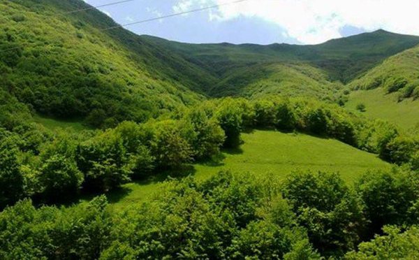 فعالیت ۵۷ تشکل محیط زیستی و منابع طبیعی در آذربایجان شرقی