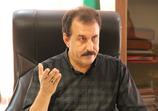 پیش بینی برداشت ۸۰ هزار تن دانه روغنی کلزا از مزارع خوزستان