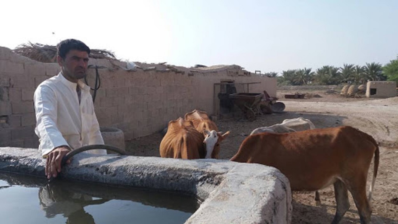 عدم تخصیص اعتبار مانع اصلی حفر چاه برای عشایر