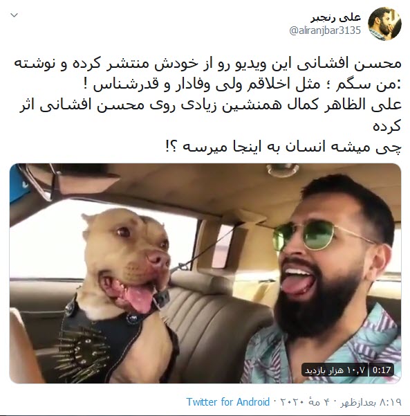 واکنش کاربران توییتر به اقدام زننده محسن افشانی؛ سلبریتی که به هرقیمتی می&zwnj;خواهد دیده شود