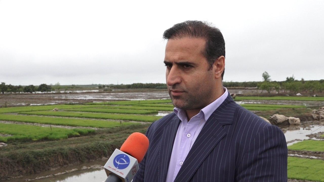 بیمه ۶۵ نوع محصول در مازندران