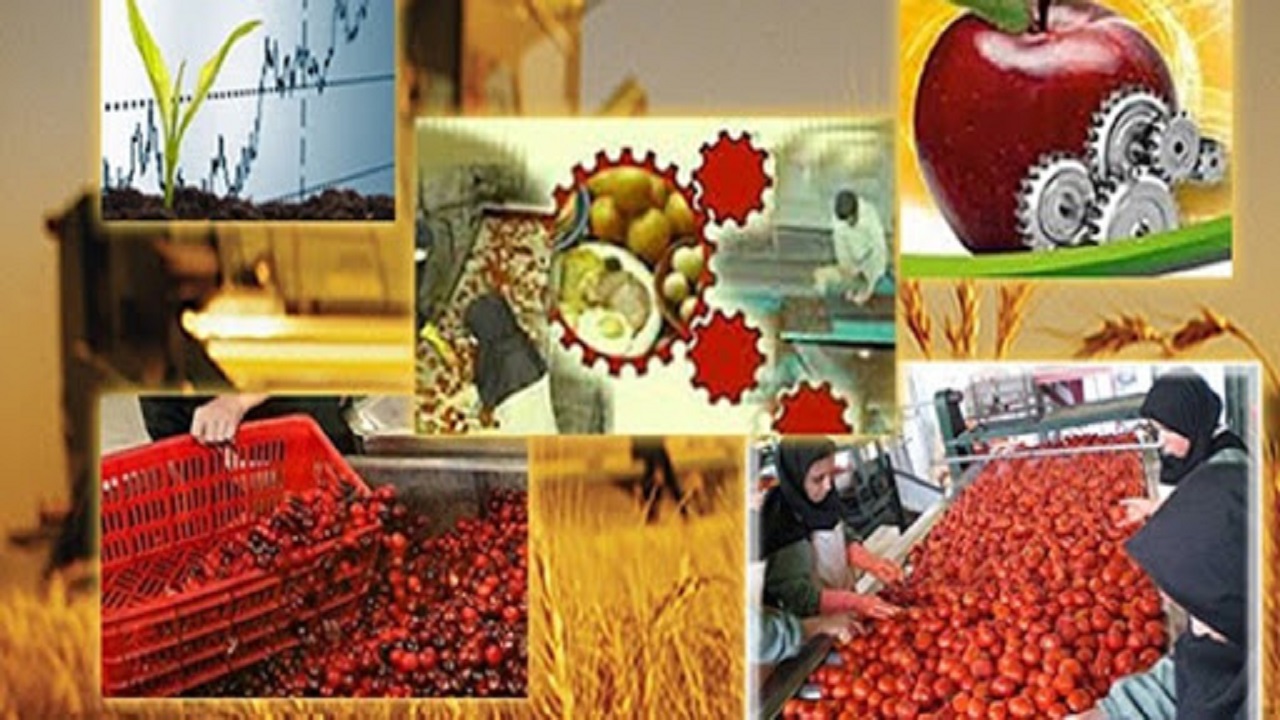 بهره مندی حدود ۳ هزار طرح از تسهیلات اشتغال پایدار روستایی
