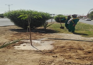 کاشت هزاران درخت و نهال در برخی مناطق اهواز