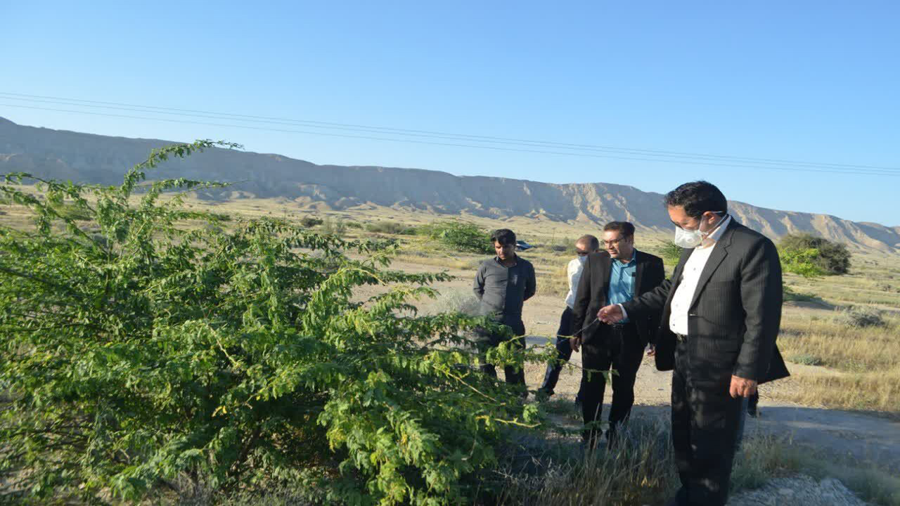 در دستور کار قرار گرفتن توسعه فعالیت‌های منابع طبیعی در لارستان