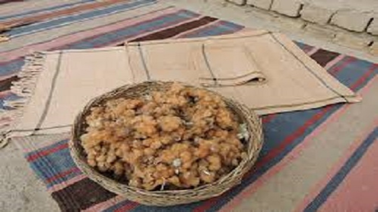 لزوم تقویت سرمایه در گردش صندوق‌های حمایت از بخش کشاورزی زنان