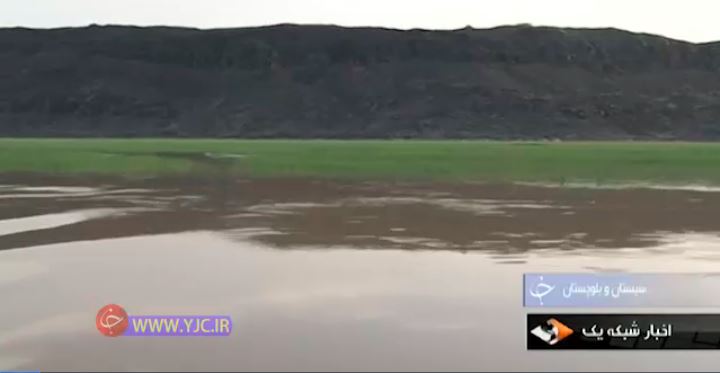 از آغاز کشت بهاره در استان چهارمحال و بختیاری تا دست پر سخاوت طبیعت بالای سر هامون + فیلم