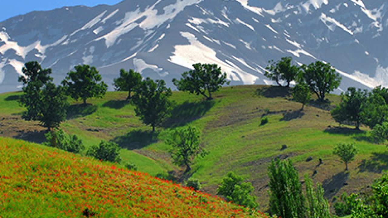 گذشت شب سرد و بهاری در بام ایران