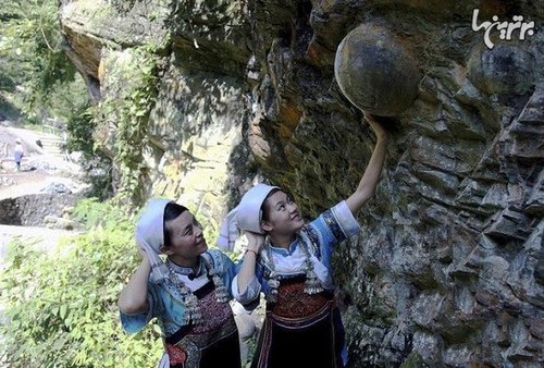 صخره سنگی که هر ۳۰ سال تخم می&zwnj;گذارد + تصاویر
