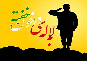 شهیدان، مظهر سرافرازی و عزت اسلام/شهیدی که زادروزش آسمانی شد