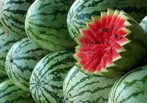 هندوانه رامشیر در استان&zwnj;های همجوار دلبری می&zwnj;کند