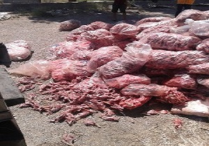 توقیف محموله ۴ تنی روده مرغ در قائمشهر
