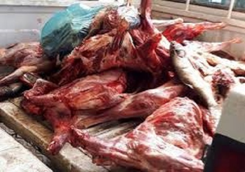 کشف سه لاشه دام غیر بهداشتی در محور یاسوج-اصفهان