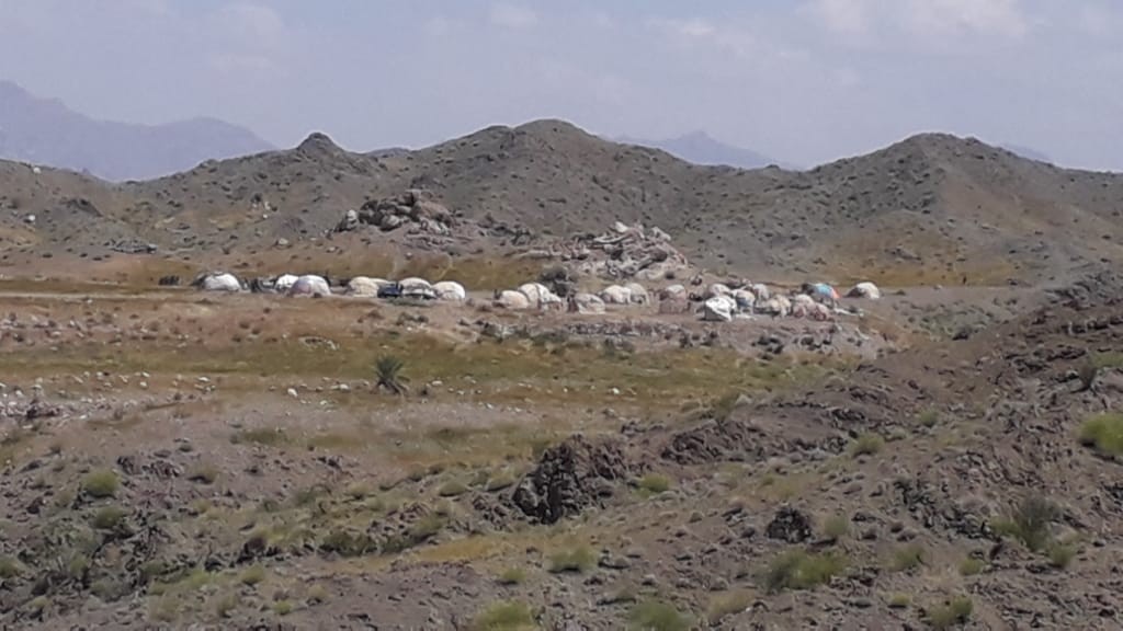 پیچ و خم زندگی در عصر کرونا/