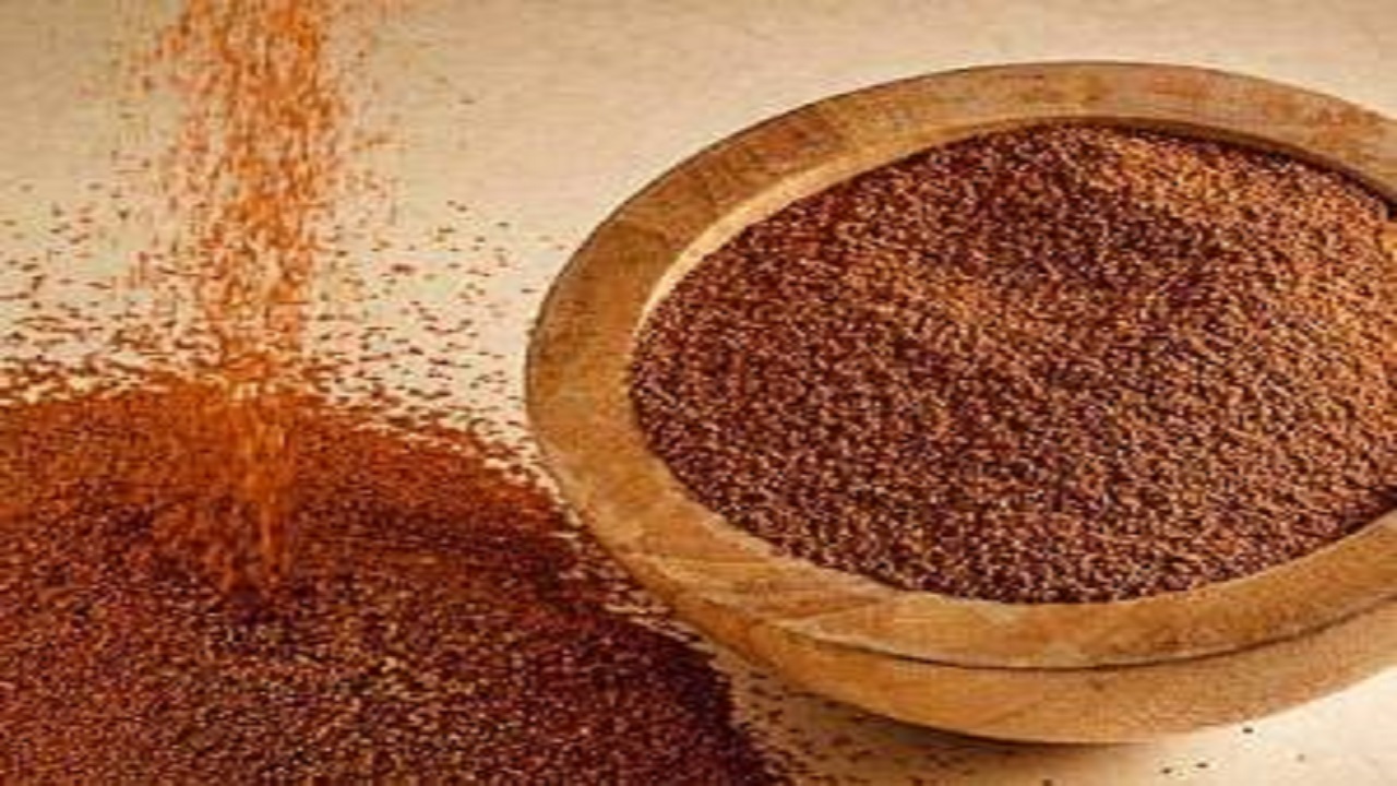 داورزن بیشترین سطح زیر کشت گونه دارویی خاکشیر در خراسان رضوی