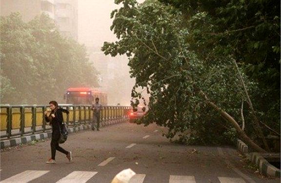 وزش باد با سرعت ۸۴ کیلو متر بر ساعت در استان همدان