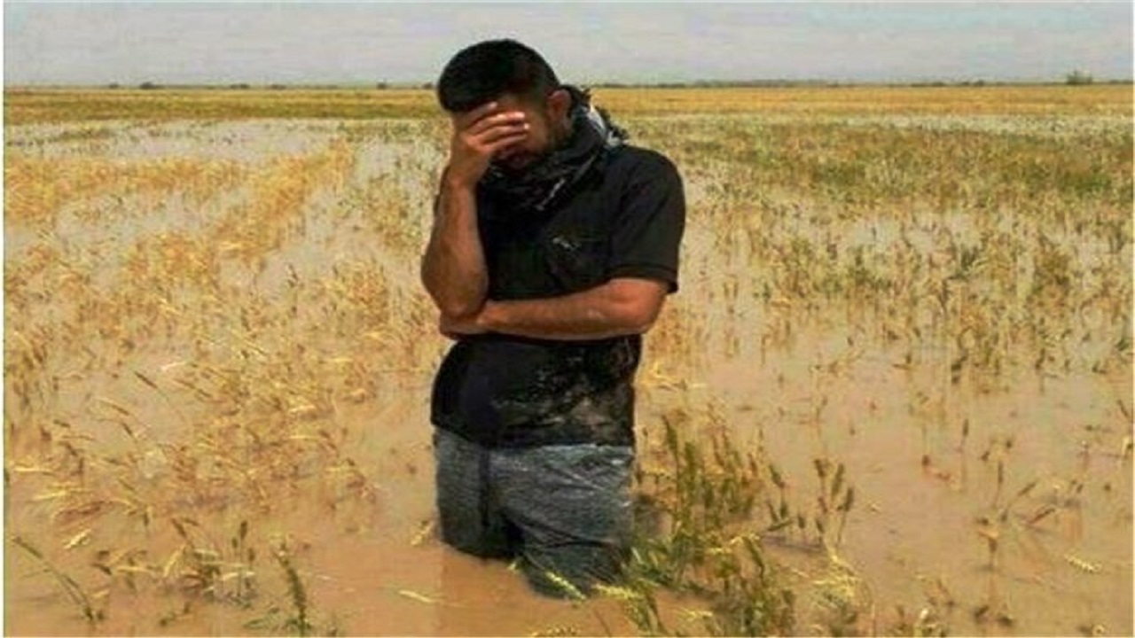 خسارت ۳۲۰ میلیارد ریالی تگرگ و سرمازدگی به بخش کشاورزی مشهد
