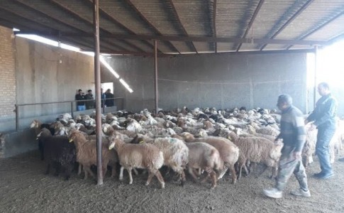 افتتاح اولین مدرسه کارورزی در سیستان و بلوچستان
