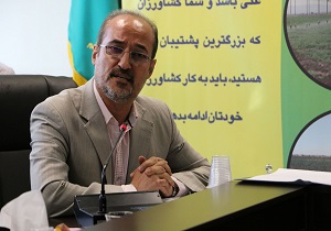 آلوده شدن ۳۰ هزار هکتار از مراتع قم به ملخ‌های بومی