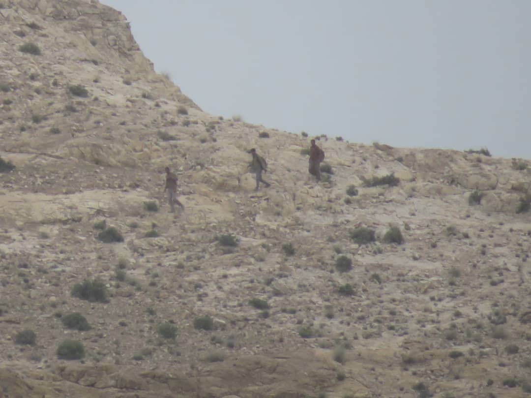 دستگیری سه شکارچی متخلف در شهرستان رابر