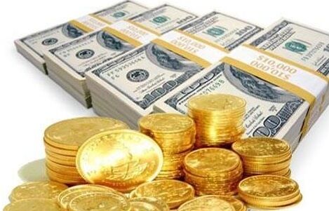 زنگ خطر حیات درختان بلوط به صدا درآمد/وقتی سوداگران گنج سر یکدیگرکلاه می&zwnj;گذارند/ پرندگانی که زلف شانه زده خود را مدیون کرونا هستند
