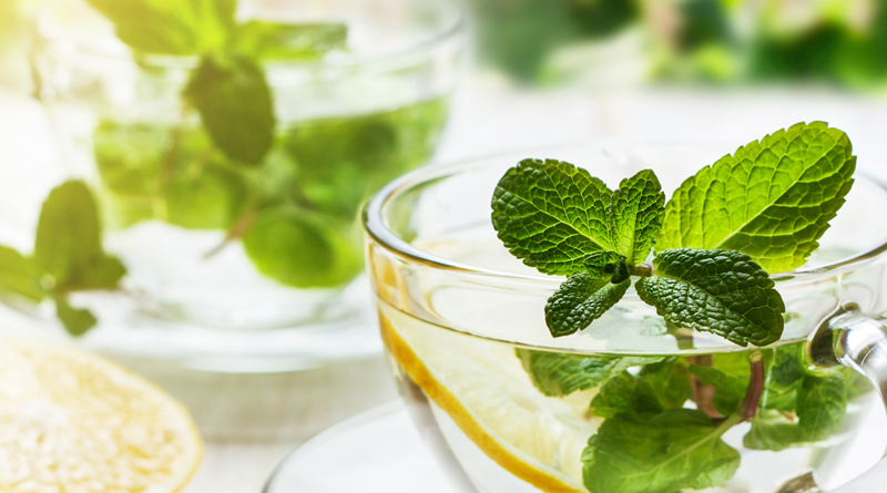 عطر خوش نعنا در خوزستان پیچید/ قدم&zwnj;های عرق نعنا به آنسوی مرزها می رسد