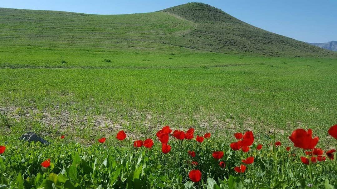 اوج زیبایی رنگ ها در شمال شرق ایران